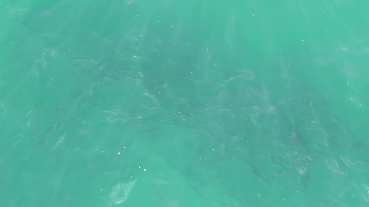 Faint fish shapes appear under green-blue water at Buzzards Beach, Baja California Sur, with rippled surface patterns and no visible people.