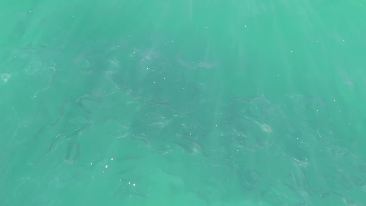 Small fish move below shallow turquoise water at Buzzards Beach, Baja California Sur, where soft sunlight streaks cross the surface and no people are visible.