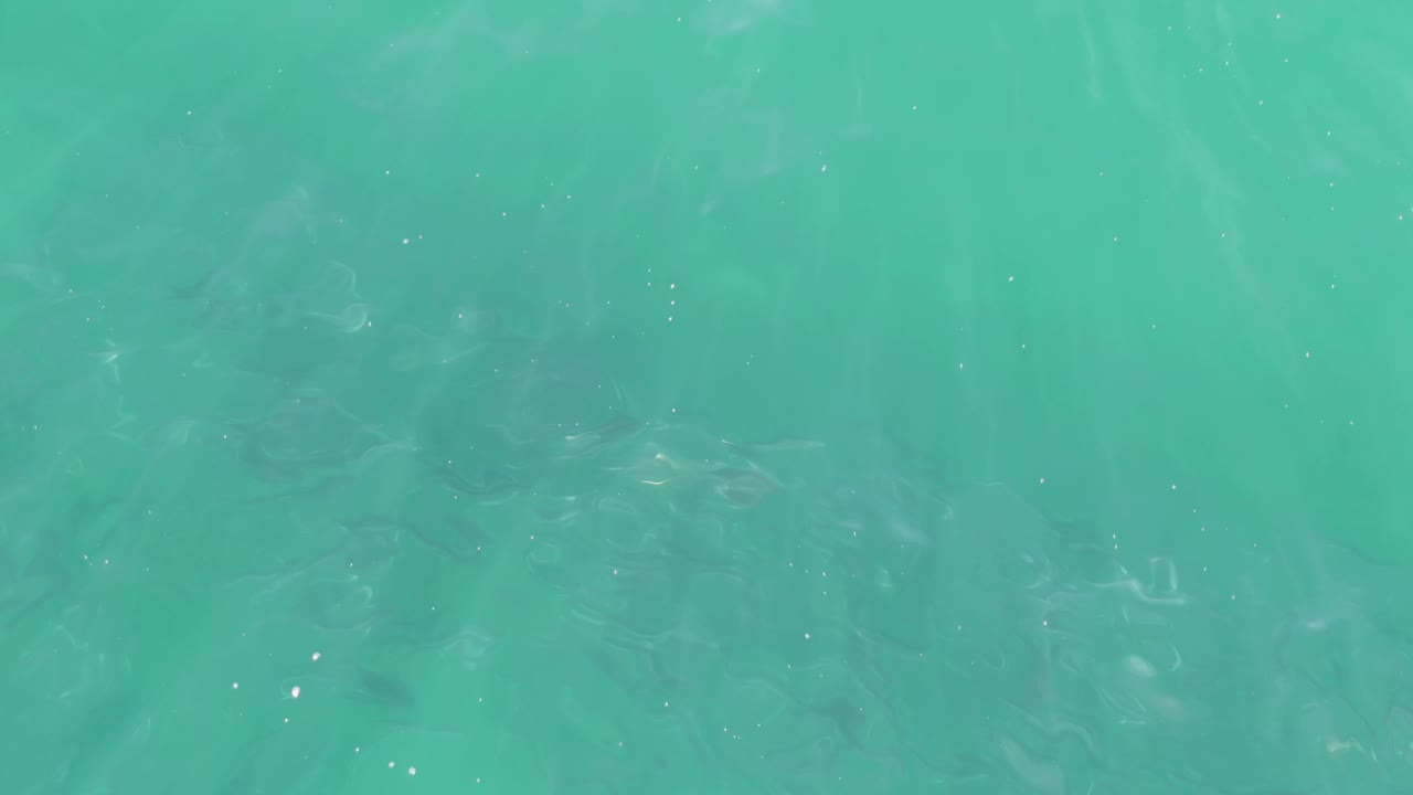 Clear turquoise water surface with gentle ripples and small bubbles.