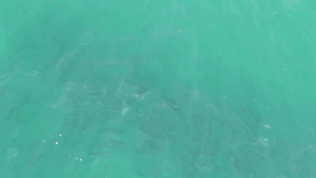 Clear water surface at Buzzards Beach in Baja California Sur, with darker submerged patches spread across the frame and no visible people.