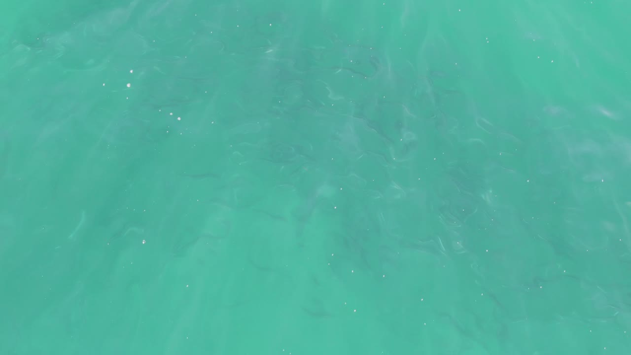 Top-down view of turquoise water at Buzzards Beach with faint fish visible beneath the surface and no visible people.