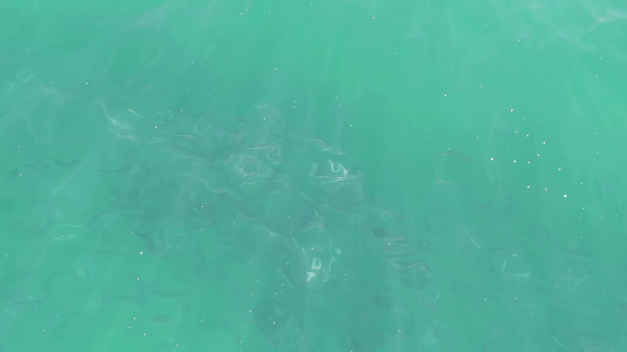 Underwater view at Buzzards Beach, Baja California Sur, looking up through turquoise water with soft ripples and no visible people.