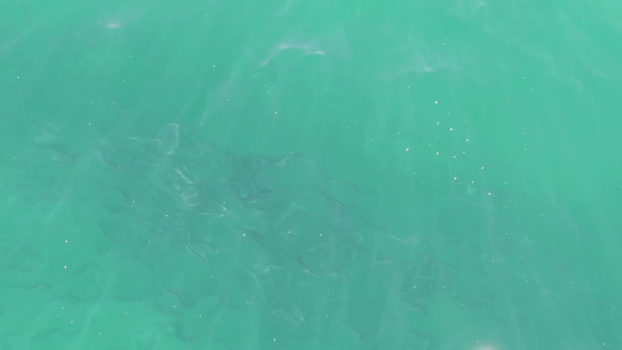 Underwater view in Baja California Sur with pale sun flecks crossing the turquoise surface and no visible people.