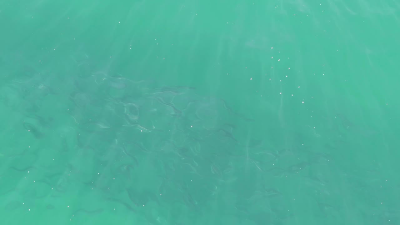 Turquoise seawater with suspended particles