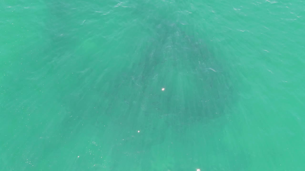 At 0:03, the submerged silhouette appears lower in the frame under calm turquoise water at Buzzards Beach, with faint streaks of ripple and no visible people.
