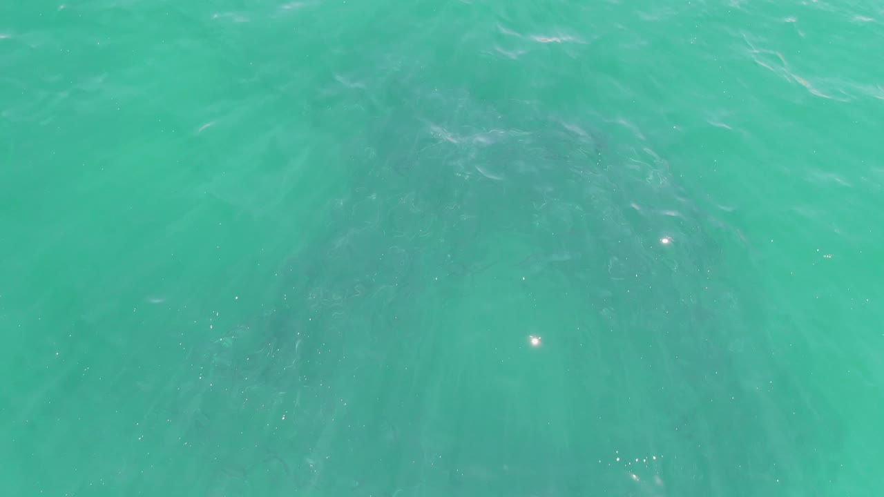 Overhead Buzzards Beach water view with a darker submerged formation near the middle, small surface glints, and no visible people.