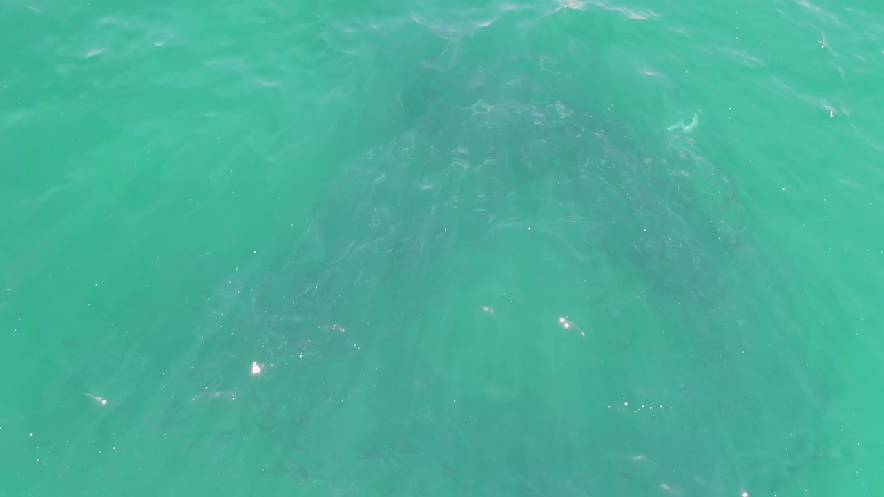 Rippling turquoise sea with scattered light reflections
