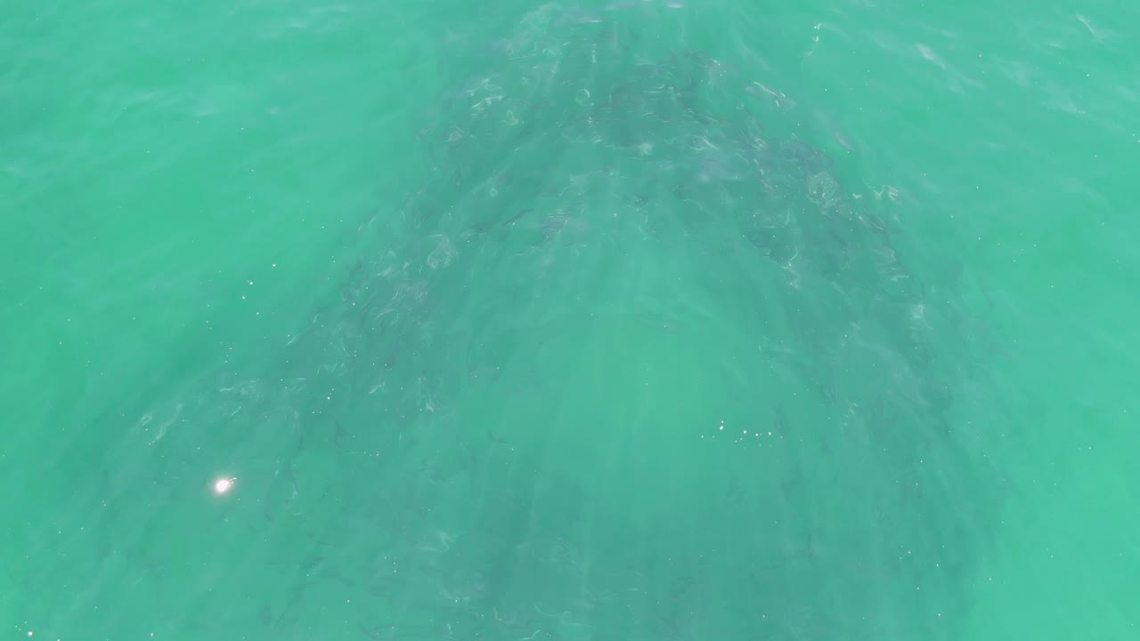 Turquoise water over a dark submerged rock formation.
