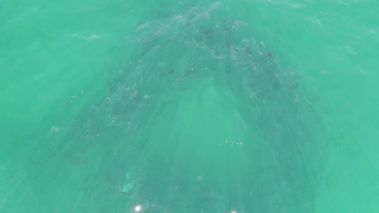 Turquoise sea surface ripples across the submerged rock formation at Buzzards Beach, Baja California Sur, with no visible people.