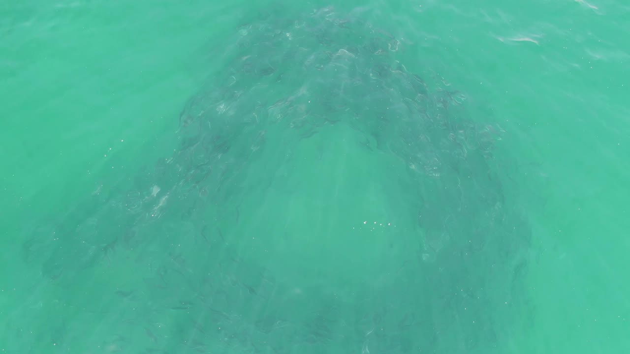 A centered dark rock shape sits under bright turquoise water at Buzzards Beach, Baja California Sur, with faint glare and no visible people.