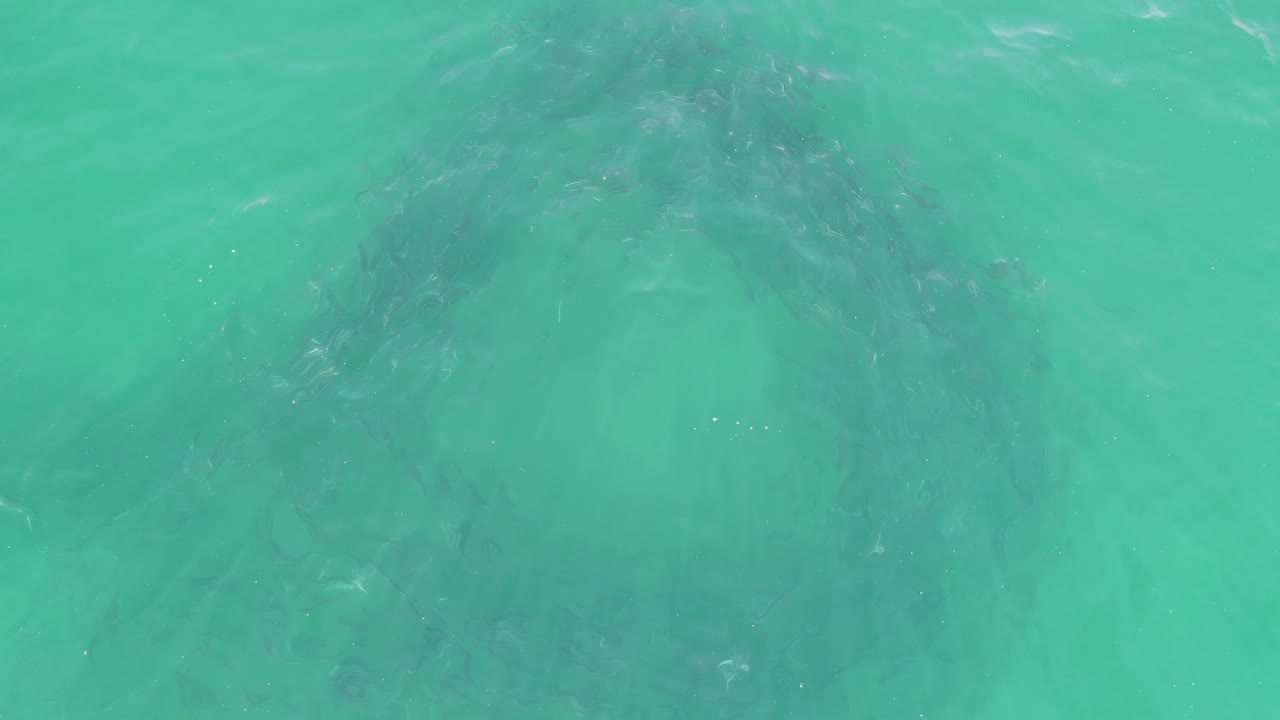 The lower-row frame shows the same submerged rock through turquoise water at Buzzards Beach, Baja California Sur, with shifting ripples and no visible people.