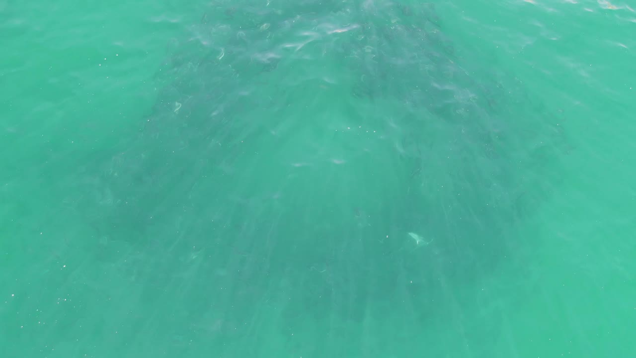 Blue-green Buzzards Beach water fills the frame as small ripples shift the pale light patterns under the surface, with no visible people.