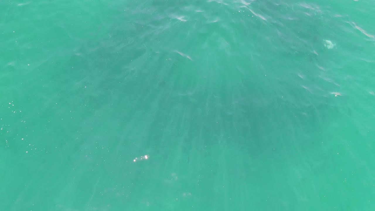 Clear ocean water with brighter ripples crossing the surface.