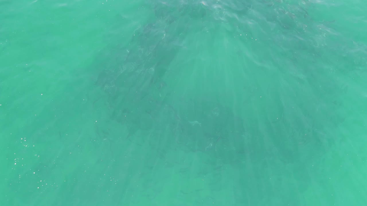 Turquoise ocean water fills the frame at Buzzards Beach, Baja California Sur, with radiating surface light, gentle ripple texture, muted seabed detail, and no visible people.