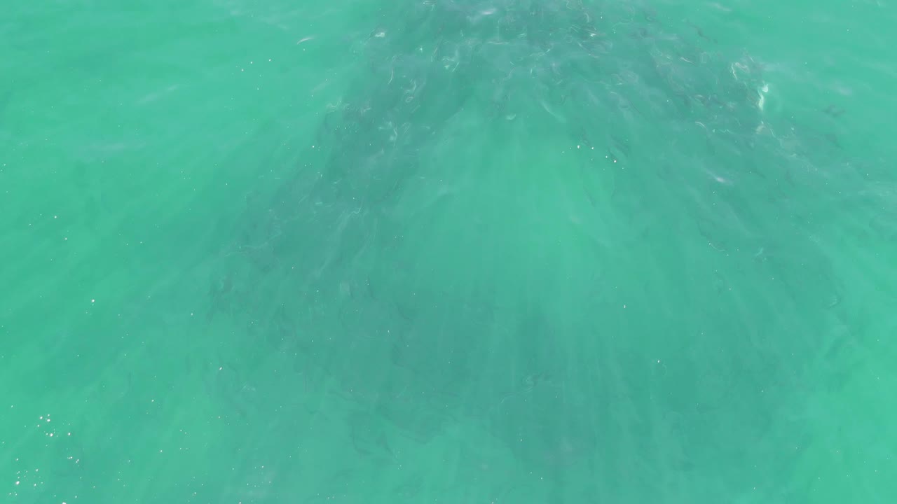 Overhead frame from Buzzards Beach, Baja California Sur, showing shallow green-blue water, faint darker forms on the seabed, soft ripples, and no visible people.