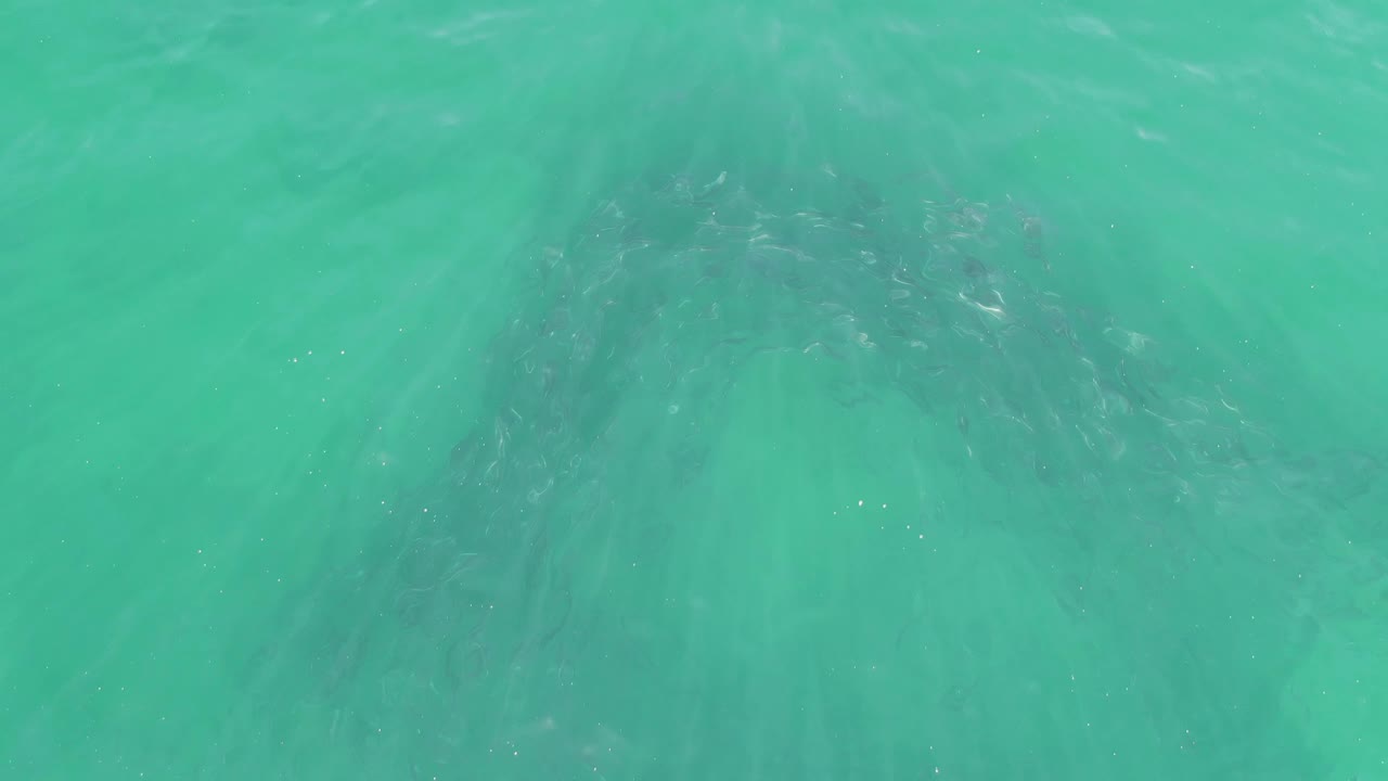Downward view of turquoise water over dark submerged rock at Buzzards Beach, Baja California Sur, Mexico, with no visible people.