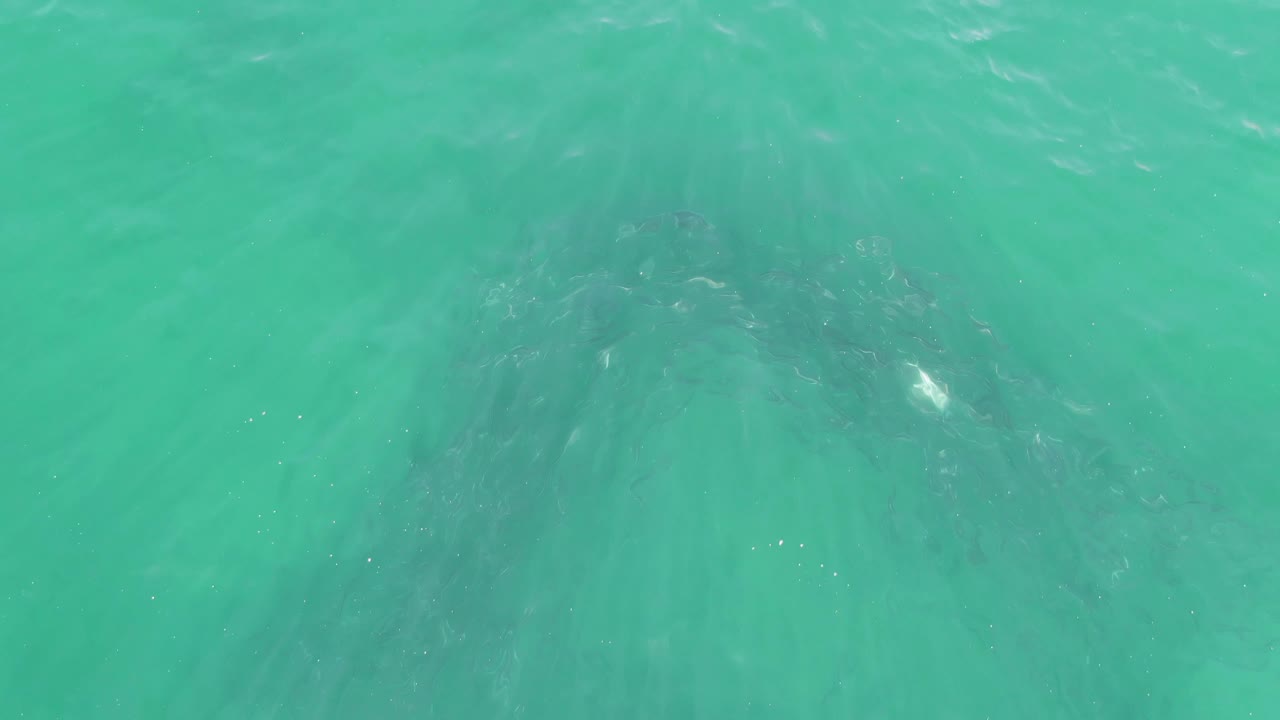 Clear turquoise ocean surface reveals a darker rocky seabed below at Buzzards Beach, with no visible people in the frame.