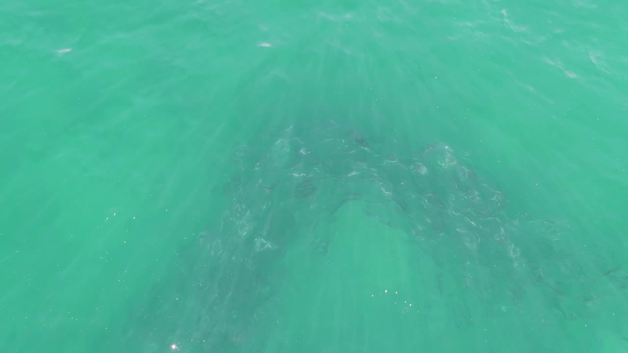 Turquoise water and shifting ripple highlights sit over broad dark underwater rock forms at Buzzards Beach, Mexico, with no visible people.