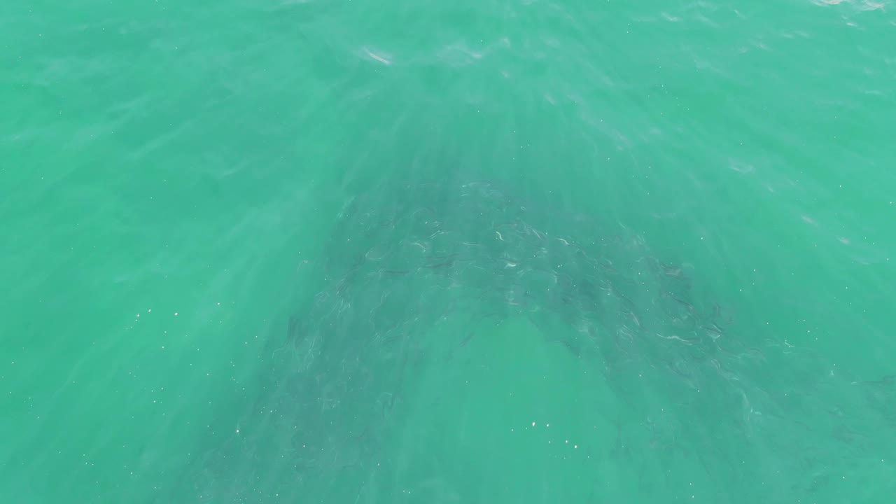 A downward view of shallow turquoise water shows dark seabed forms and surface shimmer at Buzzards Beach, Baja California Sur, with no visible people.