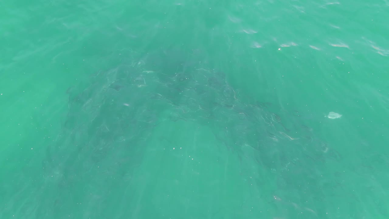 Turquoise ocean surface with faint underwater shapes and soft ripples.