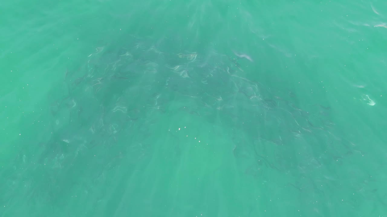 Clear green-blue ocean surface at Buzzards Beach, Baja California Sur, with small ripples and pale reflection streaks, no visible people.