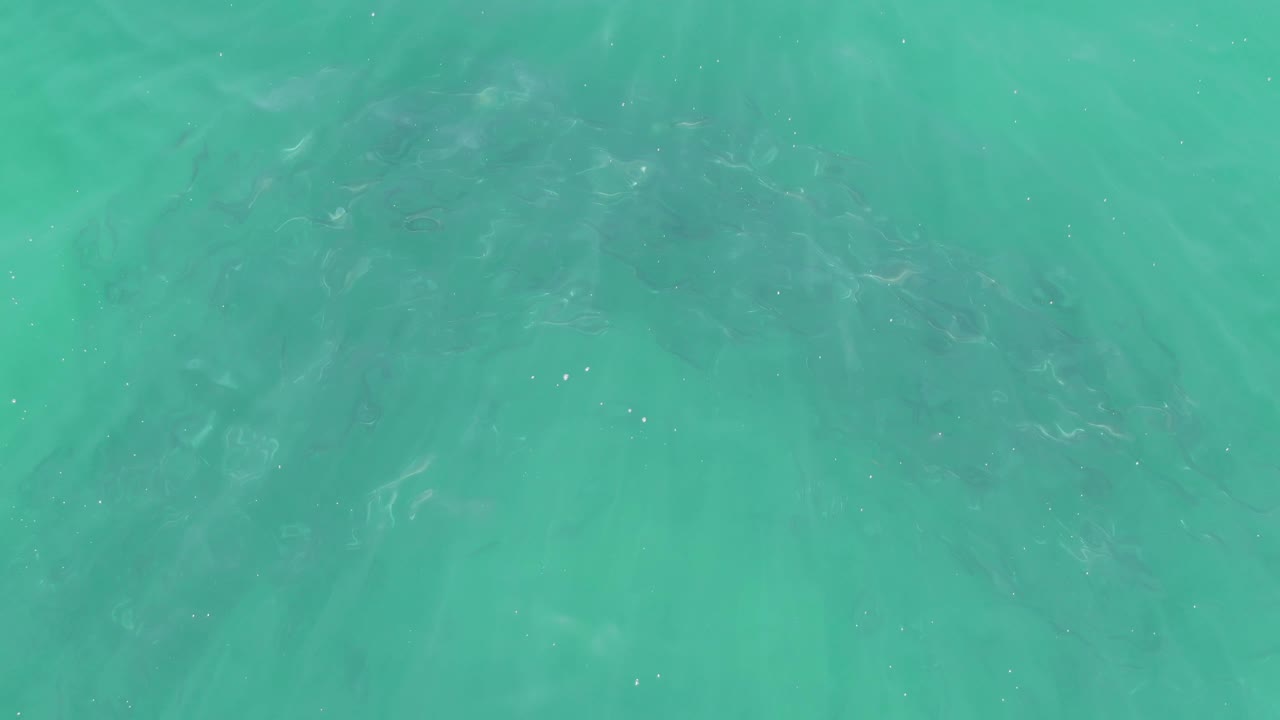 Mid-clip frame of turquoise ocean at Buzzards Beach, Baja California Sur, where darker submerged patches sit beneath moving surface ripples and no visible people appear.