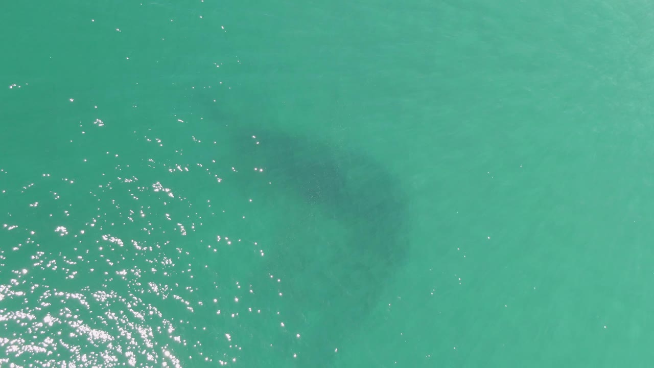 A dark whale shark outline remains visible beneath turquoise water at Buzzards Beach, offset from a dense patch of sparkling sun reflections, with no visible people.