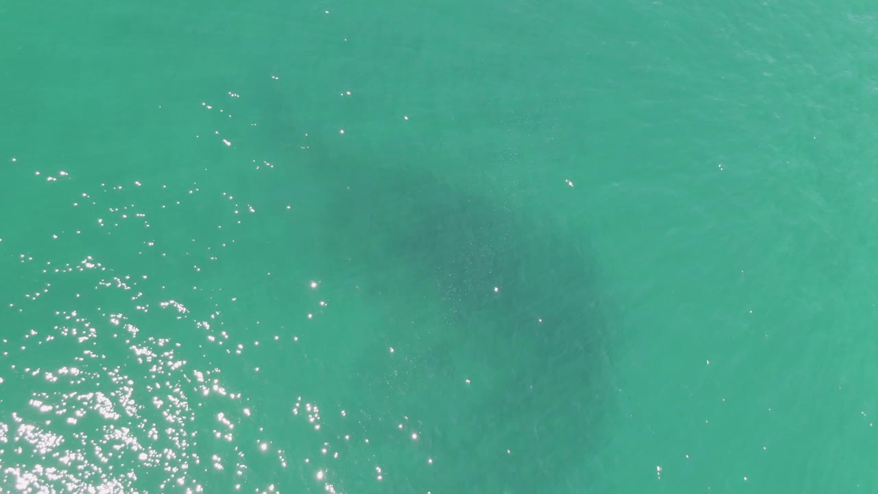 Aerial frame over Buzzards Beach turquoise water, with the large dark underwater shape nearer the center and scattered sun reflections, no visible people.