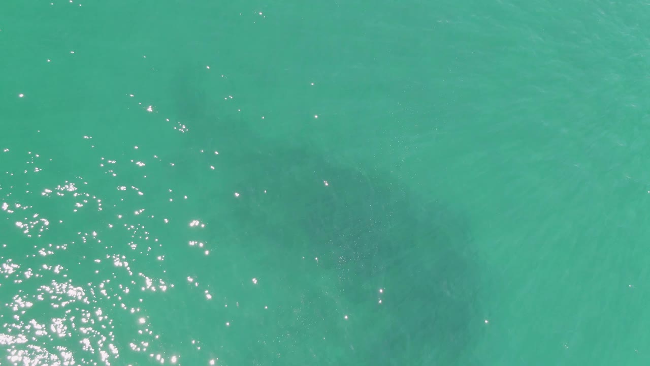 Aerial view at Buzzards Beach with sun glare along the left edge, teal shallows across the frame, and the dark underwater animal form lower in the water, no visible people.