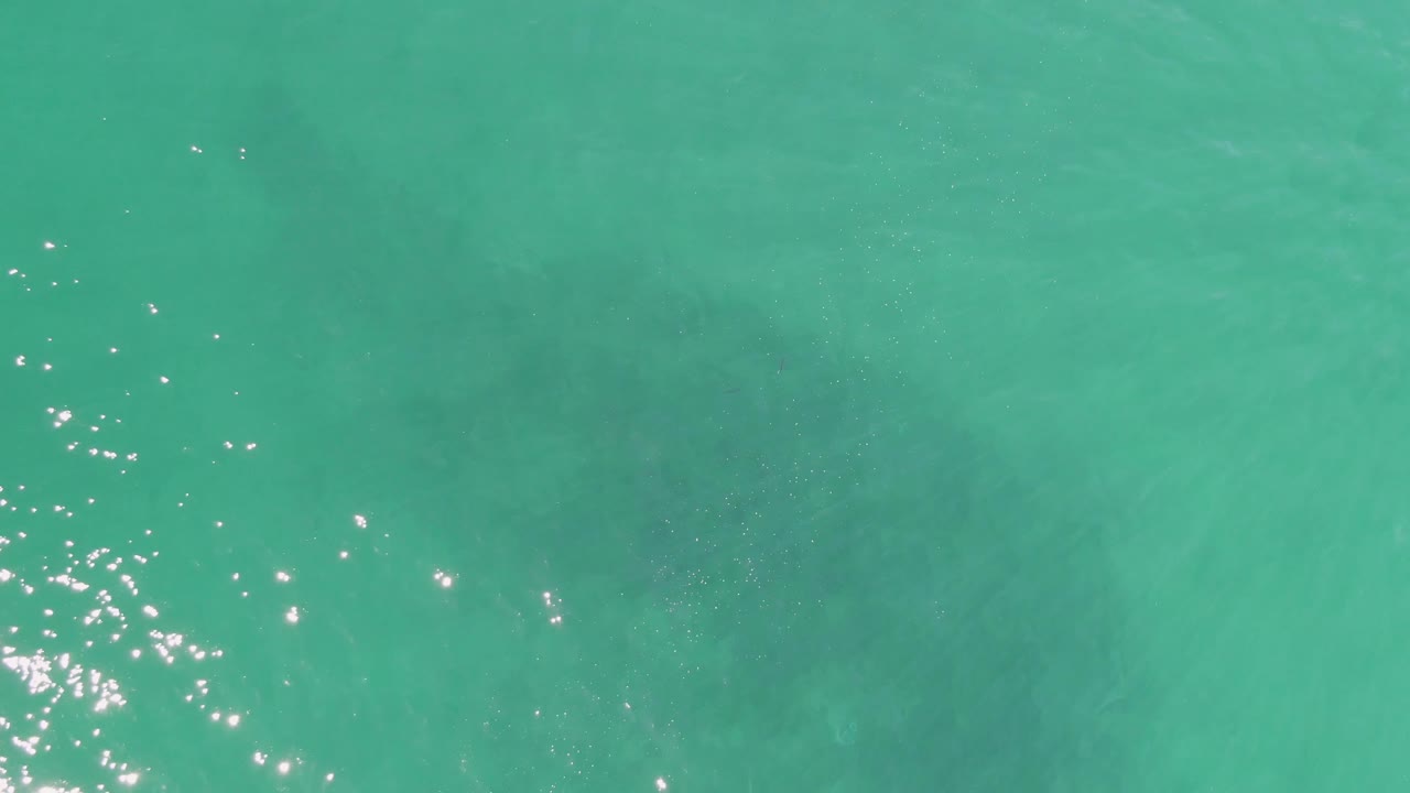 Turquoise ocean surface with sun glints and faint underwater shadow.