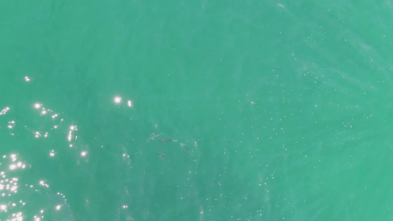 Turquoise water with faint small fish and bright surface sparkles.