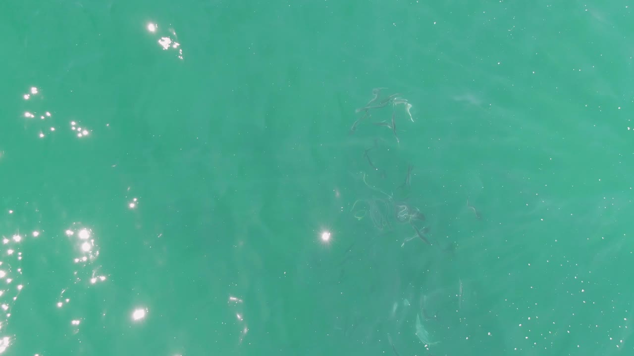 Clear green-blue ocean water at Buzzards Beach with faint small fish silhouettes spread through the frame and a few bright reflection points, with no visible people.
