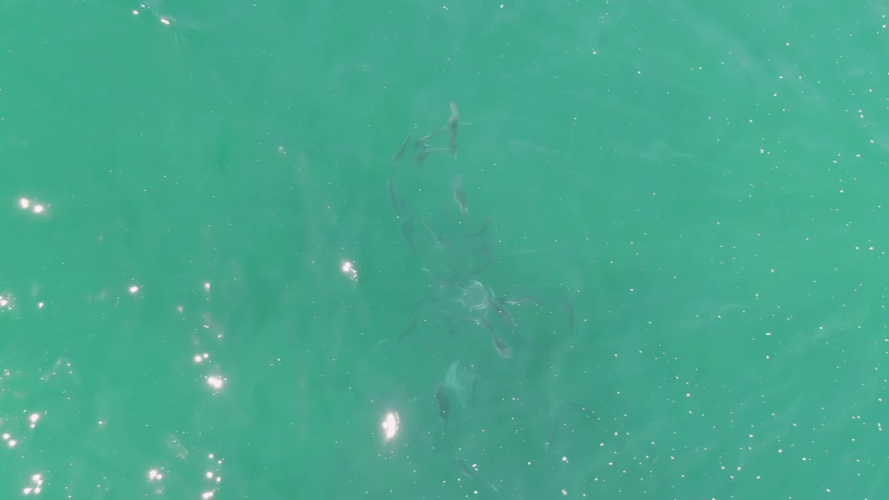 Overhead turquoise sea surface in Baja California Sur with small fish visible below the water and clustered sunlight reflections near the lower part of the frame, with no visible people.