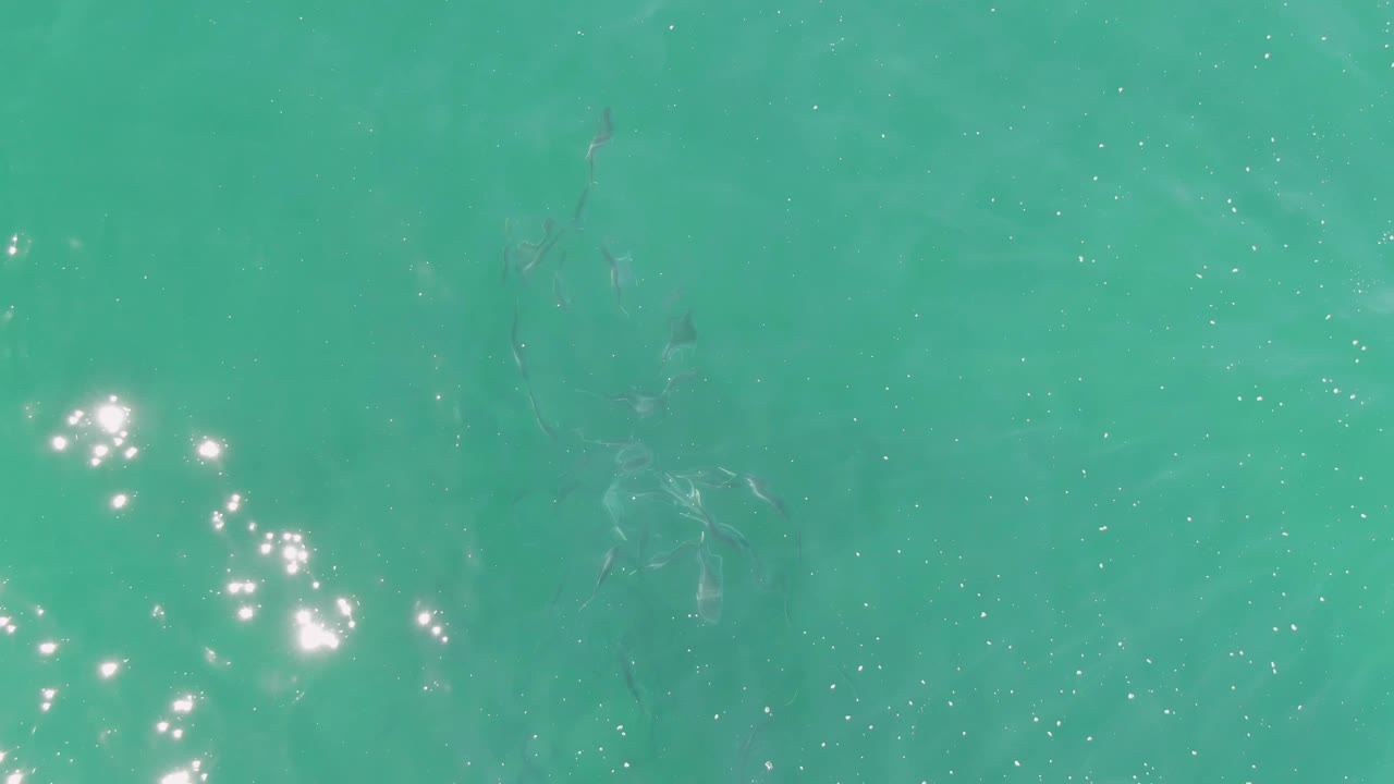 Clear turquoise ocean at Buzzards Beach with several faint fish shapes under the surface, soft ripples, and bright sun flecks along the left side, with no visible people.