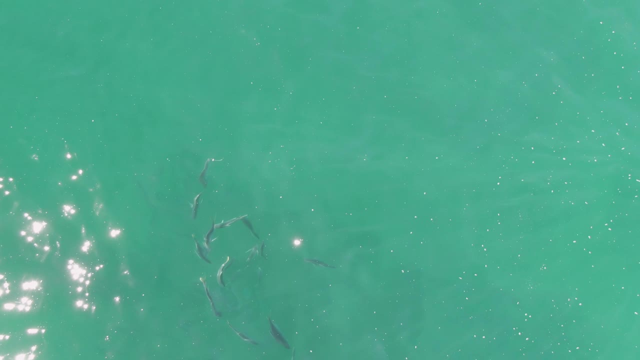 Fish pass beneath turquoise ocean water at Buzzards Beach while a brighter patch of reflected sunlight appears to the right, with no visible people.
