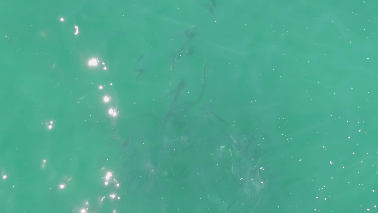Turquoise water with small fish shapes and bright surface glints.
