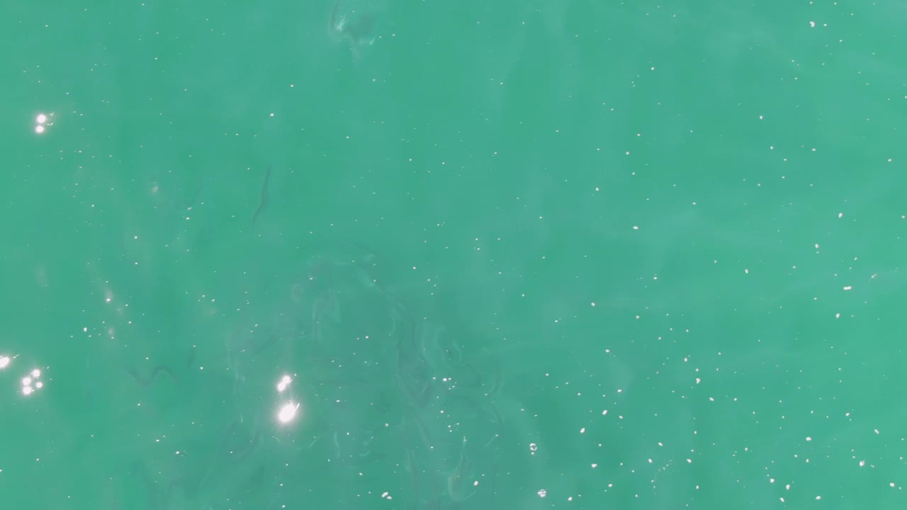 An overhead frame of Buzzards Beach water shows dim fish shapes under a turquoise surface with small bright sparkles and no visible people.