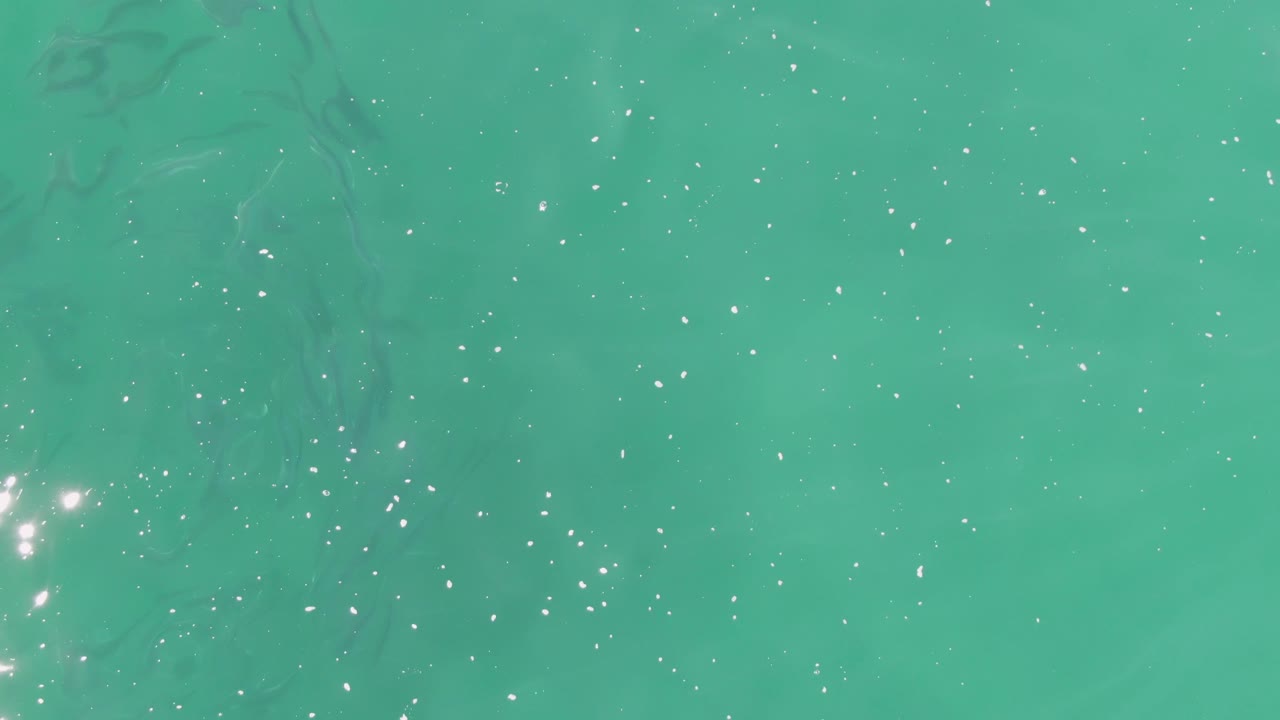 Turquoise ocean surface with sunlight sparkles and faint fish below