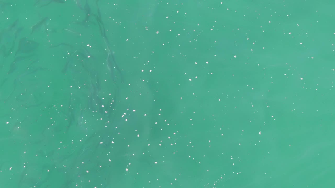 Turquoise shallow ocean at Buzzards Beach with a loose cluster of fish silhouettes under the water and small bright reflections across the surface, with no visible people.