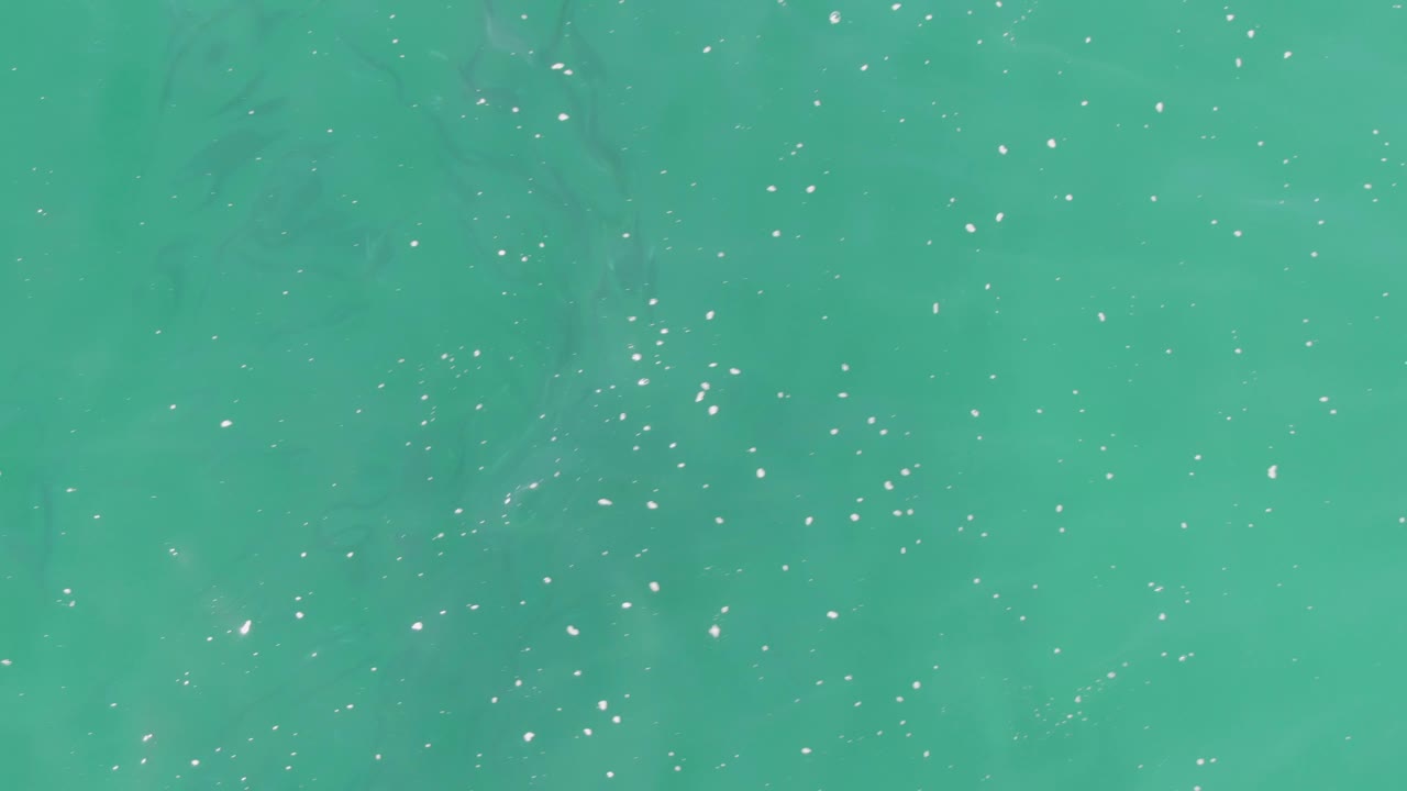 Overhead turquoise water near Buzzards Beach with scattered white sun flecks and faint submerged fish shapes spread through the midframe, with no visible people.