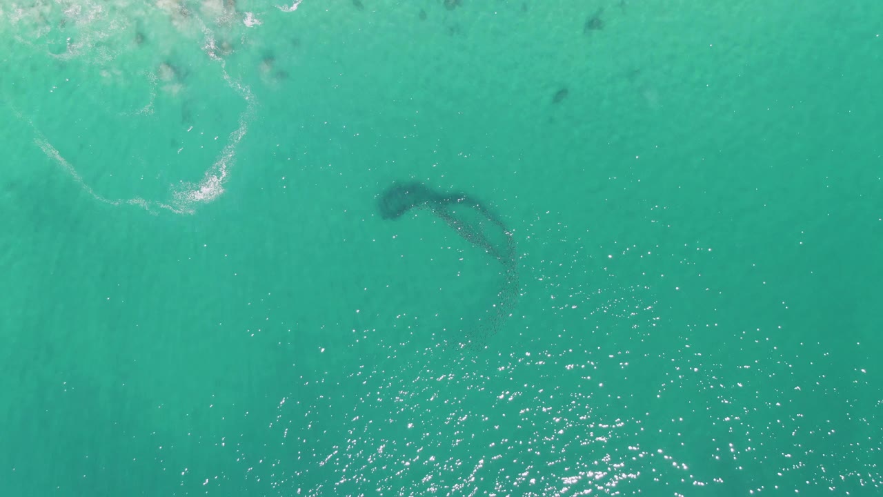 At Buzzards Beach, the marine animal shape sits below the surface near left-side foam and rippled turquoise water, with no visible people.