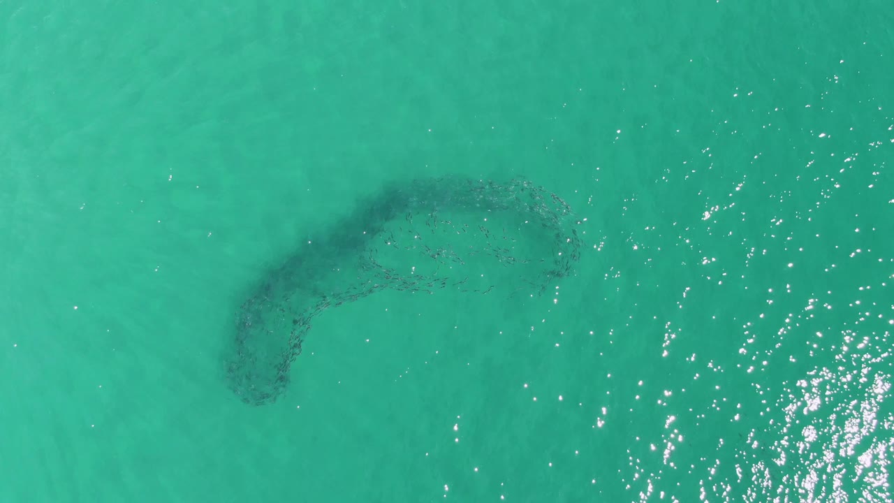 Turquoise water over a curved underwater sandbar with sunlight sparkles.
