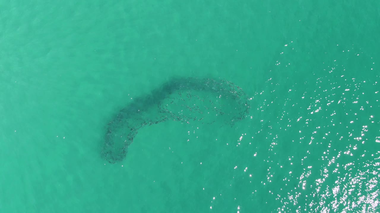 Aerial frame over Buzzards Beach shows the curved submerged sandbar centered higher in the water, with bright reflection flecks to the lower right and no visible people.