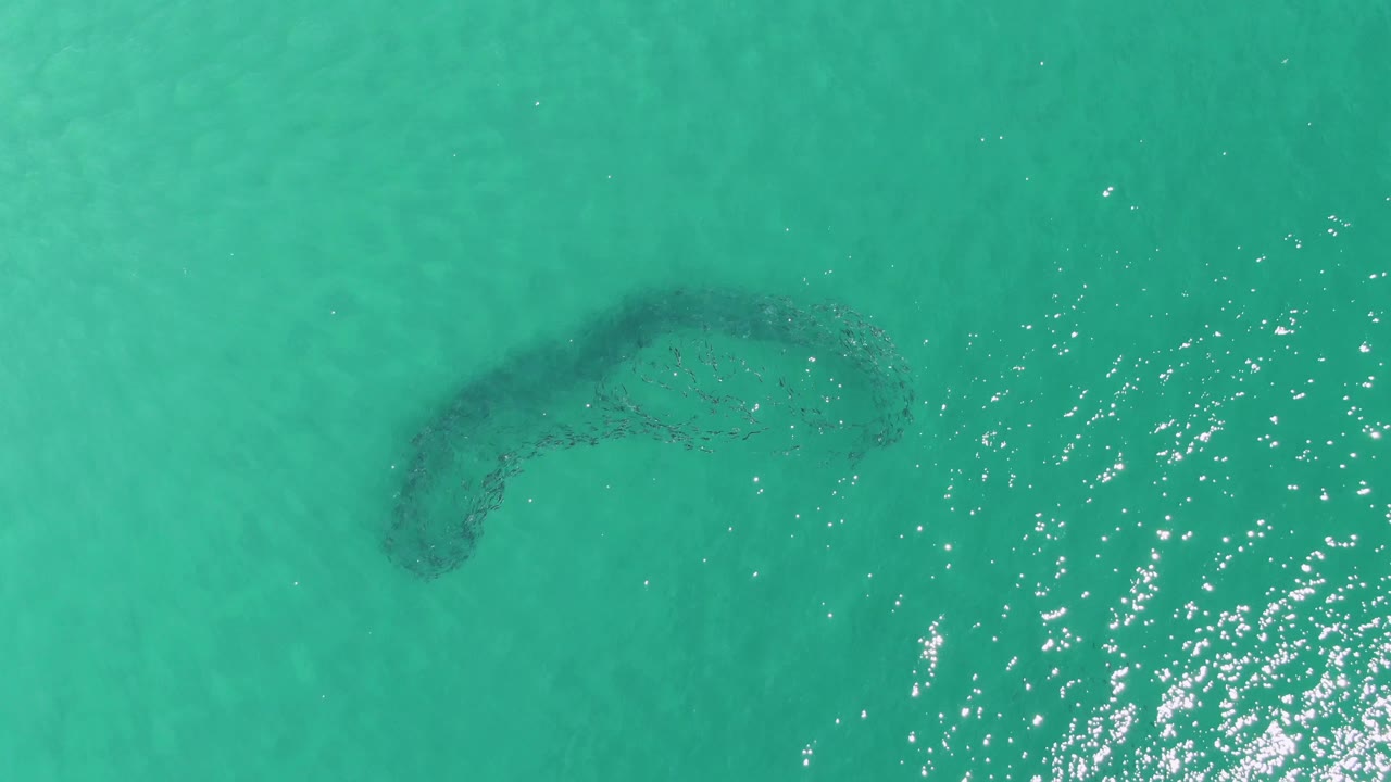 Top-down Buzzards Beach water view with the dark arc of the underwater sandbar near the upper center and a denser patch of white surface sparkles on the right, no visible people.