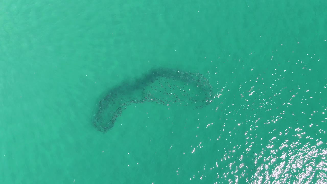 A later aerial frame at Buzzards Beach shows the submerged curved sandbar lower in the composition, with softer turquoise water texture and no visible people.