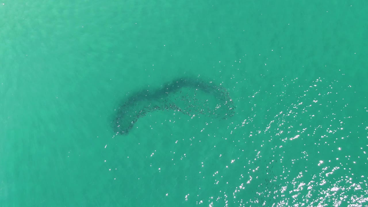 Overhead view at Buzzards Beach, Baja California Sur, showing a curved underwater sandbar beneath turquoise water with bright sun reflections and no visible people.