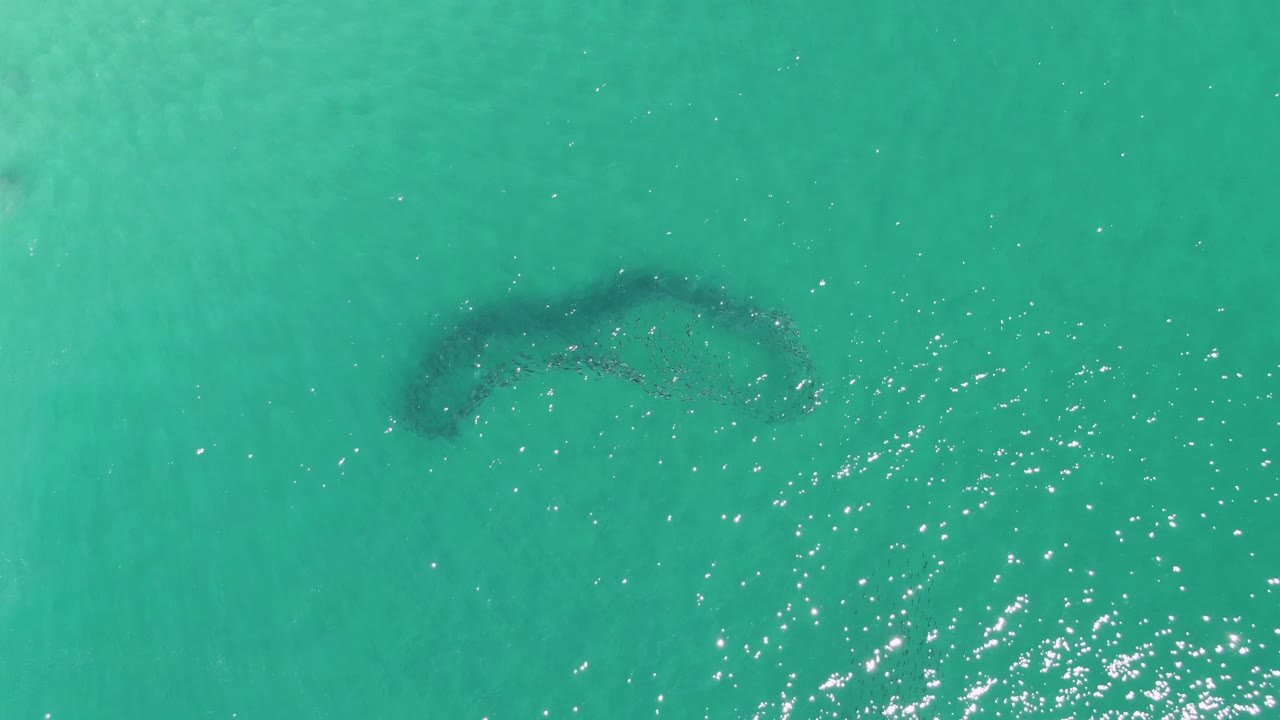 Aerial frame from Buzzards Beach, Baja California Sur, with the dark curved sandbar centered under clear turquoise water and scattered surface sparkle, no visible people.