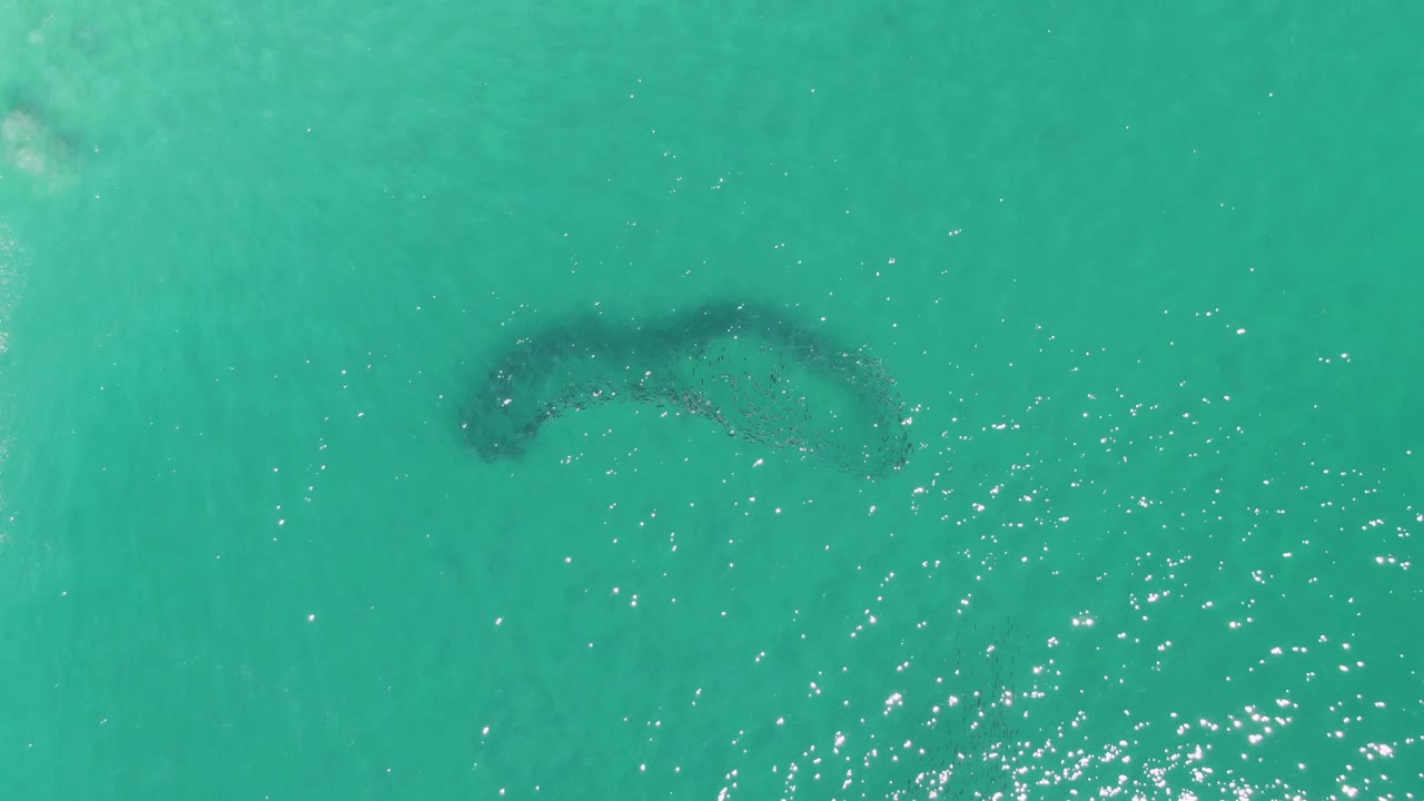 Buzzards Beach aerial frame showing the curved underwater sandbar in turquoise water with a small pale foam streak near the upper right and no visible people.