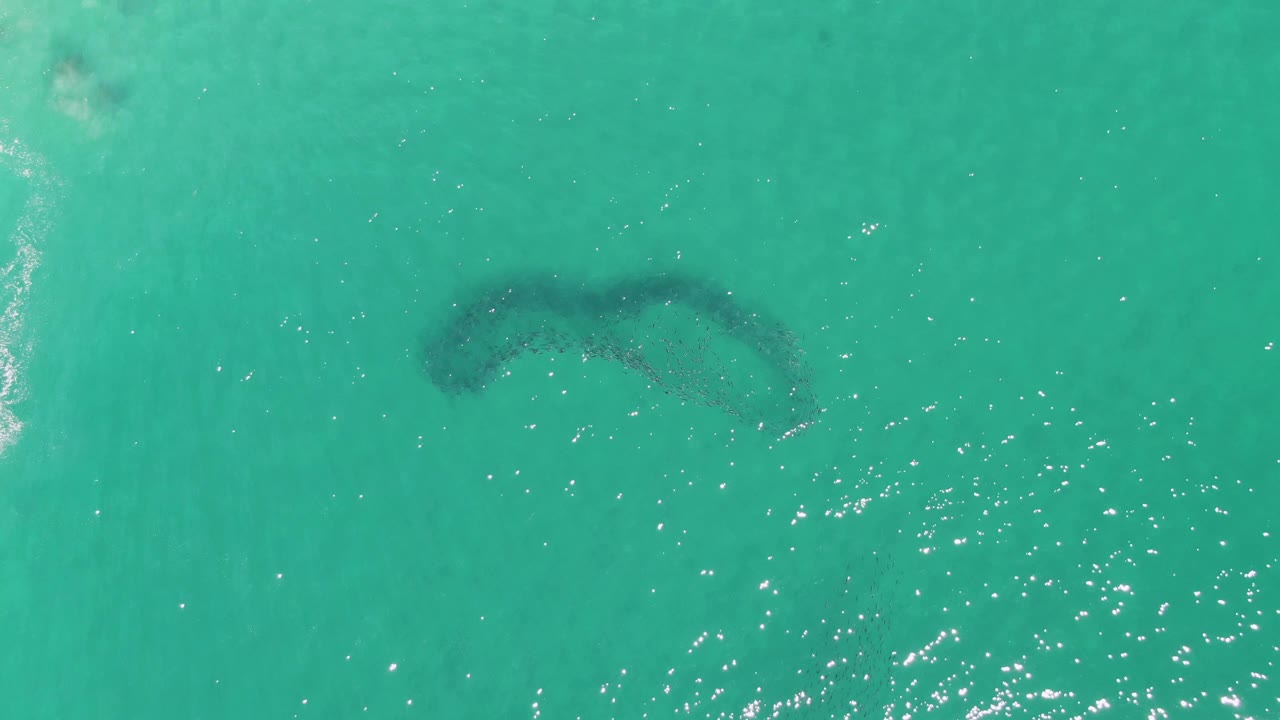 Curved submerged sandbar in turquoise water with foam trail crossing nearby