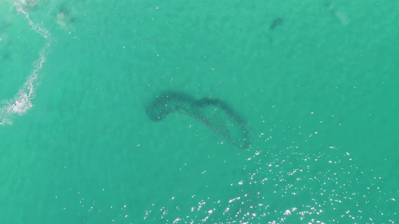 At Buzzards Beach in Baja California Sur, a dark curved school of fish is visible beneath turquoise ocean water with a bright patch of surface sparkle below it and no visible people.